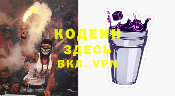 индика Ачинск