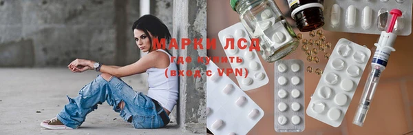 сатива Магадан