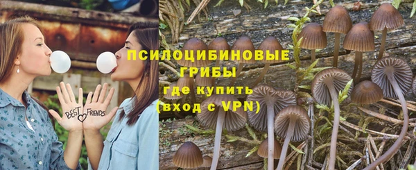сатива Магадан